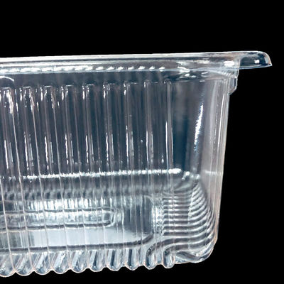 Customizable PET Cake Box Insert Tray Blister Packaging for Bakeries Fruits Vegetables