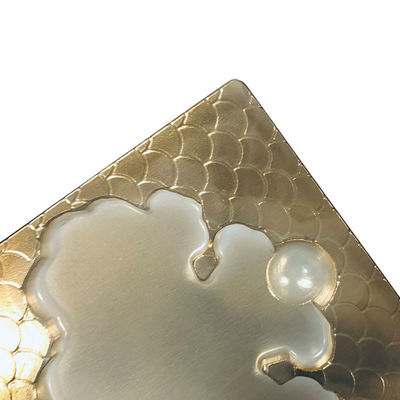 Customizable Shape Size 36 Years of Blister Packaging Manufacturing for Chocolate Pastry