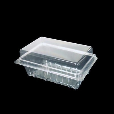 ISO9001 Customized PET Food Grade Plastic Container Blister Clamshell Packaging for Butter