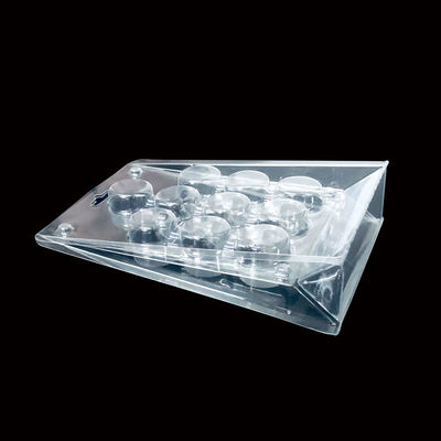 39000SQM Production Area SH-0292 PET Blister Packaging for False Nails Cosmetics