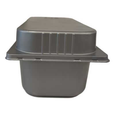 Customized Cold Resistant Blister Tray for Ice Cream 36 Years Manufacturing Experience